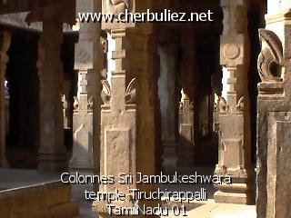 légende: Colonnes Sri Jambukeshwara temple Tiruchirappalli TamilNadu 01
qualityCode=raw
sizeCode=half

Données de l'image originale:
Taille originale: 107687 bytes
Heure de prise de vue: 2002:03:07 12:42:14
Largeur: 640
Hauteur: 480
